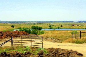 PhillipsCreek Phillips Creek Ranch