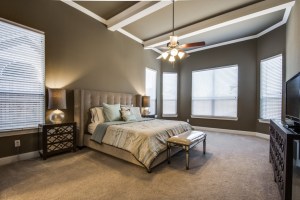 Master Bedroom with Upgraded Beams.